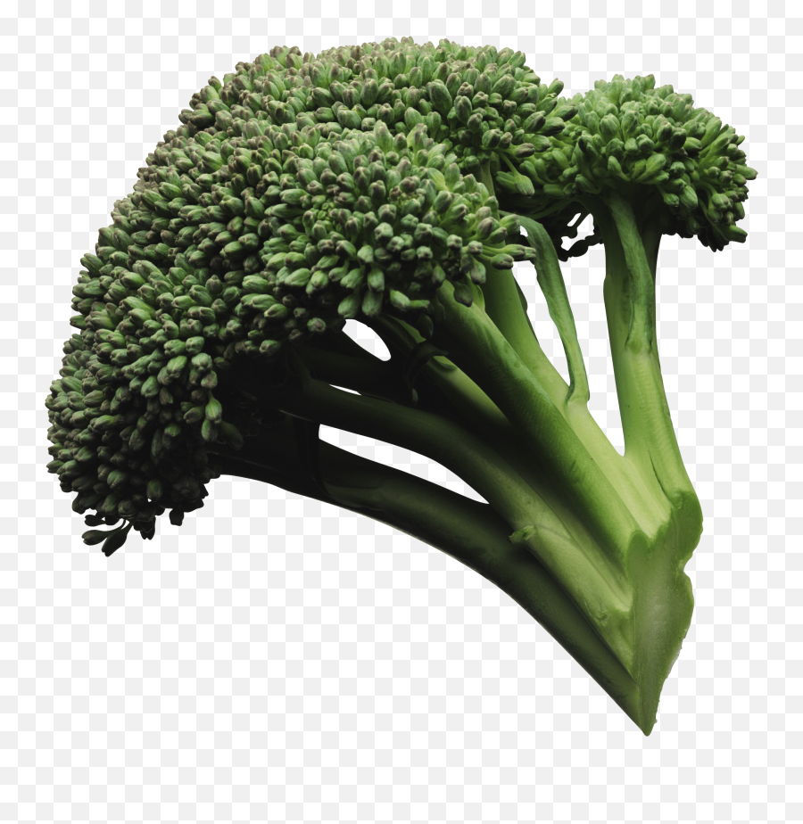 Download Broccoli Png Image Hq Png Image - Broccoli Picture Transparent Emoji,Broccoli Emoji