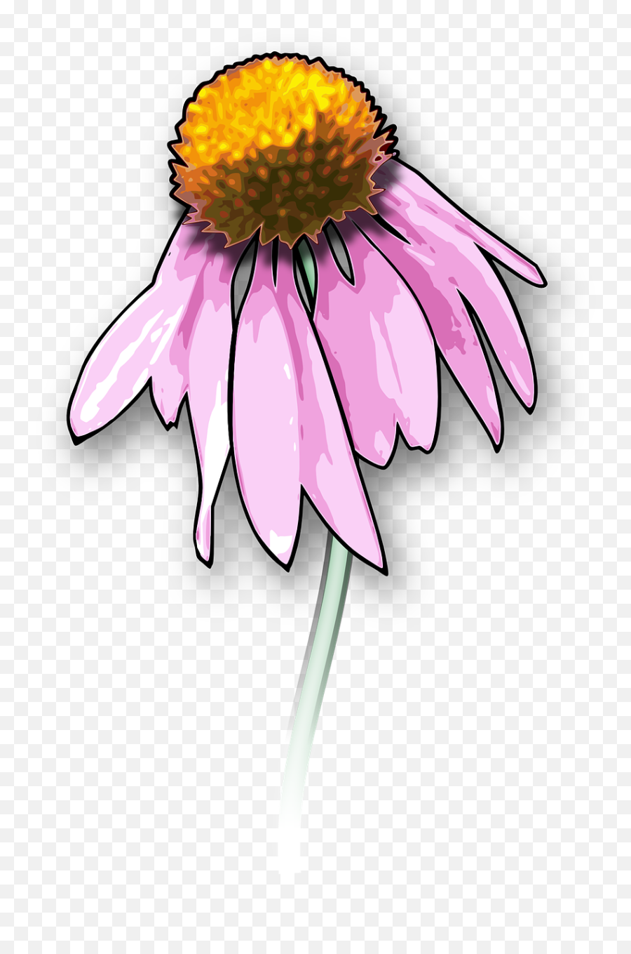 Flower Pink Petals Floral Blooming - Dead Flowers Clipart Emoji,Sakura Blossom Emoji