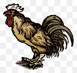 Rooster Cock Bird Animal Chicken - Teka Teki Kalau Kambing Jadi Ayam Emoji