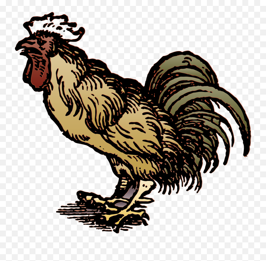 Rooster Cock Bird Animal Chicken - Teka Teki Kalau Kambing Jadi Ayam Emoji,Emoji Hand And Chicken