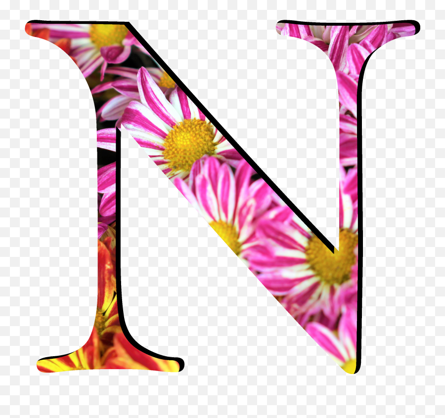 Flower Pattern Letters N - Flower Pattern Letter O Png Emoji,Emoji Plane And Letter