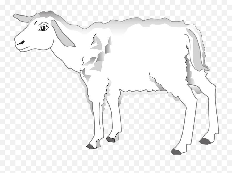 Free Lamb Sheep Illustrations - Sheep Emoji,Eye Roll Emoji