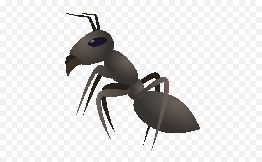 Ant Nature Gif - Parasitism Emoji,Ant Emoji