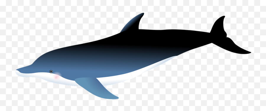 Free Dolphin Sea Illustrations - Dolphin Emoji,Disney Emoji Stickers