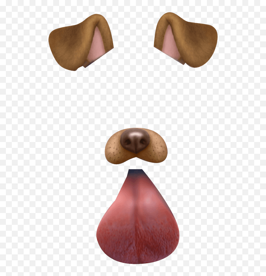 Dof Filter Snapchat - Snapchat Dog Filter Png Emoji,Snap Chat Emoji