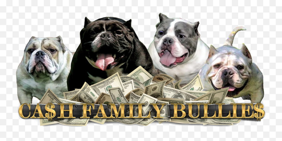 Download Cash Family Bullies - Start A Successful Business American Pit Bull Terrier Emoji,Cash Emoji Png
