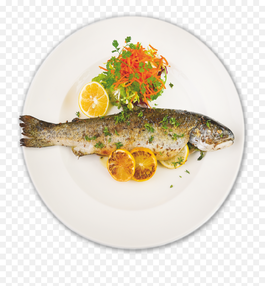 Download Fish - Fish Plate Png Png Image With No Background Fish Plate Png Emoji,Seafood Emoji