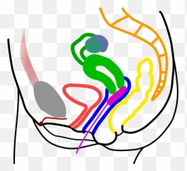 Tampon Inserted - Reproductive Anatomy Tampon Emoji,Headphone Emoji
