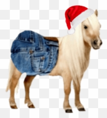 Custom Emoji List For Jorts - Pony White Background,Gynecologist Emoji