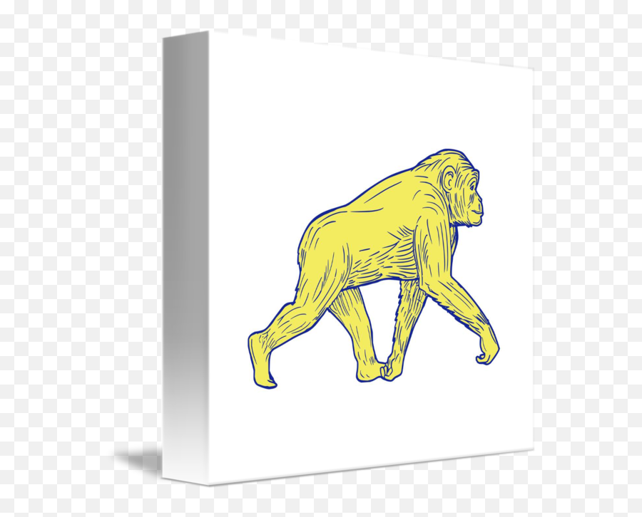 Chimp Drawing Rhesus Monkey Transparent U0026 Png Clipart Free - Mandrill Emoji,Ape Emoji
