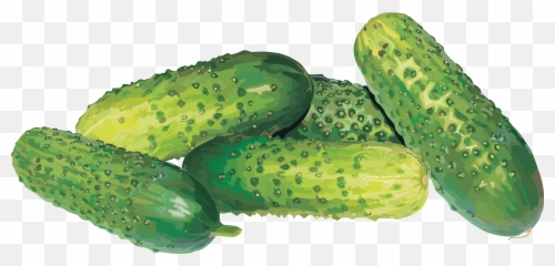 Free Cucumber Transparent Download Emoji,Cucumber Emoji