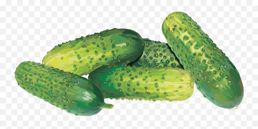Free Cucumber Transparent Download Emoji,Cucumber Emoji