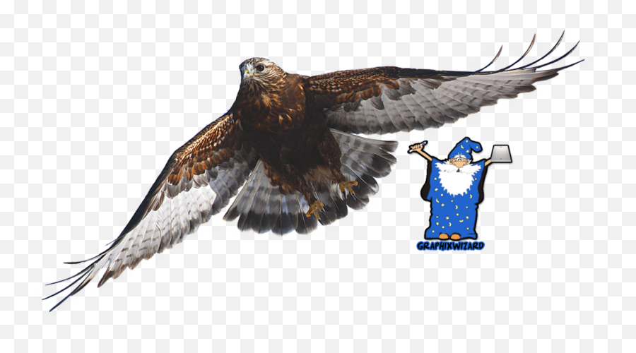 Rough - Legged Hawk Psd Official Psds Golden Eagle Emoji,Hawk Emoji