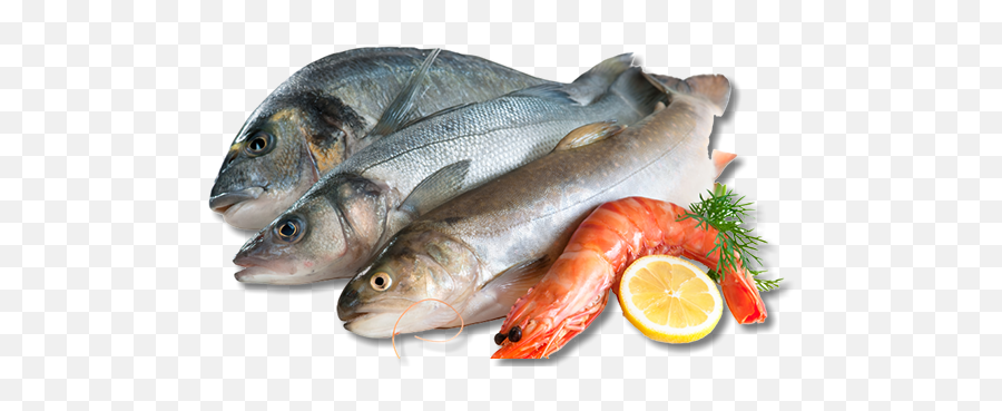 Download We Also Offer Complimentary Fish Frying At All Of - Chicken Meat And Fish Png Emoji,Seafood Emoji