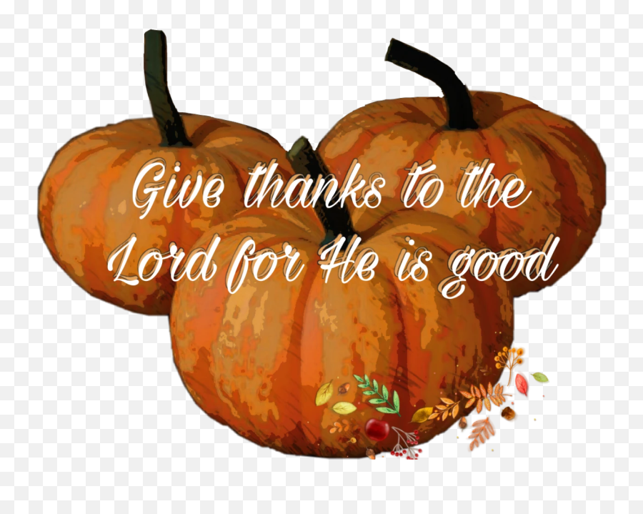 Pumpkins Stickers Thanksgiving Thanks God Thankyoujesus - Pumpkin Emoji,Emoji Pumpkins