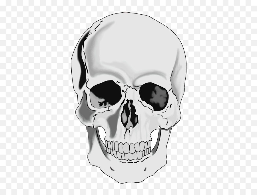 Realistic Human Skull - Transparent Background Human Skull Clipart Emoji,Broken Bone Emoji