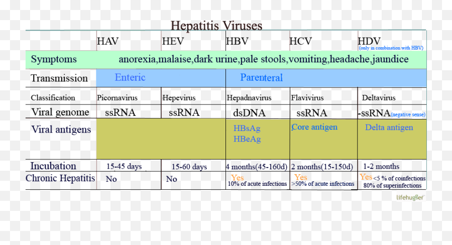 Hepatitis - Viral Hepatitis Summary Table Emoji,Vomiting Emoji Gif
