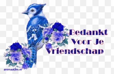 Top Birding Stickers For Android U0026 Ios Gfycat - Bedankt Voor Je Vriendschap Gif Emoji,Bluebird Emoji