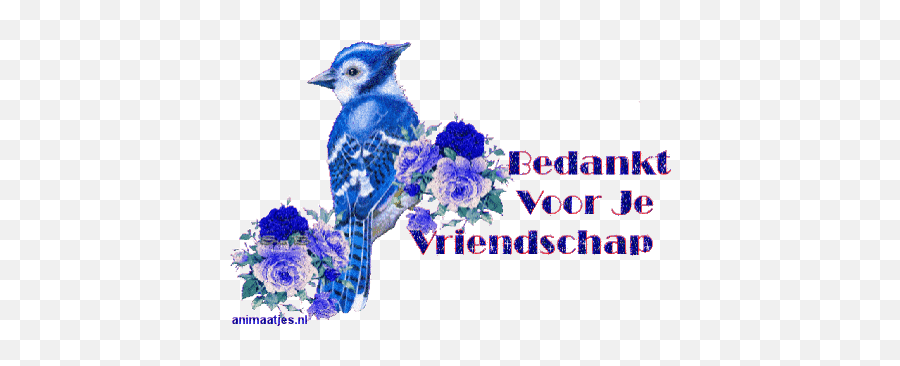 Top Birding Stickers For Android U0026 Ios Gfycat - Bedankt Voor Je Vriendschap Gif Emoji,Bluebird Emoji