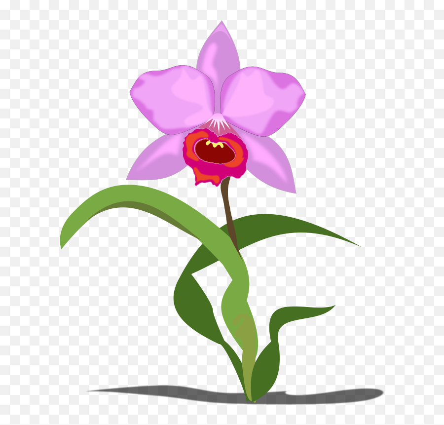 Free Pink Orchid Cliparts Download - Orchid Clipart Emoji,Orchid Emoji