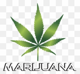 Background Black Cannabis Culture - Marijuana Leaf Transparent Background Emoji,Weed Plant Emoji