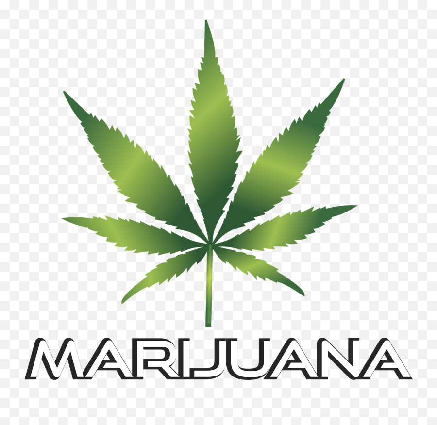 Background Black Cannabis Culture - Marijuana Leaf Transparent Background Emoji,Weed Plant Emoji