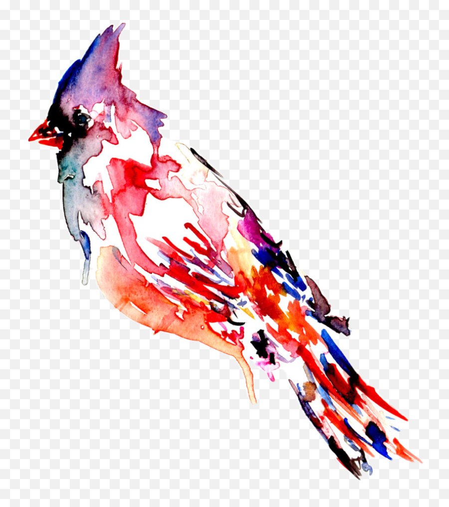 Cardinal Bird Art Birdart Rainbow - Watercolor Red Bird Tattoo Emoji,Cardinal Bird Emoji