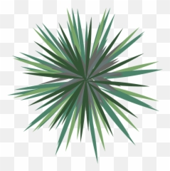 Palm Tree Plan - Palm Tree Plan Png Emoji,Palm Tree Book Emoji