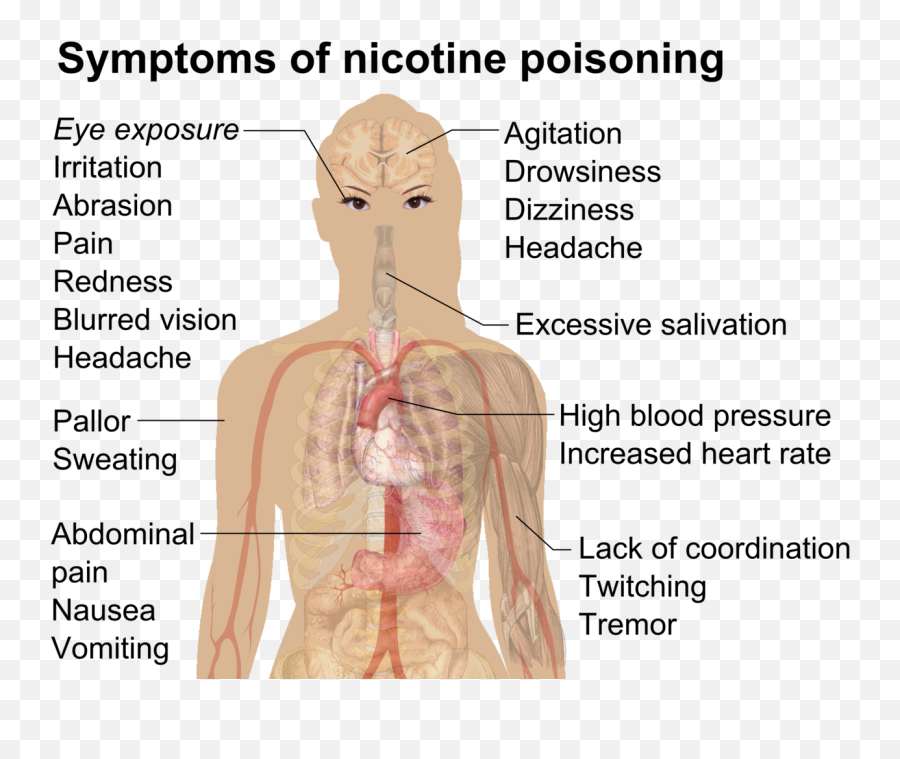 Symptoms Of Nicotine Poisoning - Nicotine Poisoning Symptoms Emoji,Heart Eye Emoji Copy