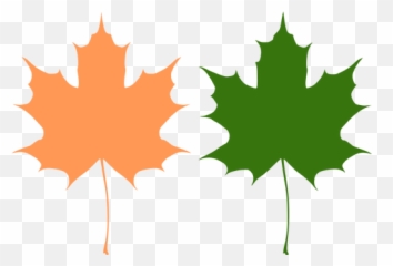 Orange And Green Maple Leaves Vector Drawing - Maple Leaf Vectors Emoji,Plant Emoji
