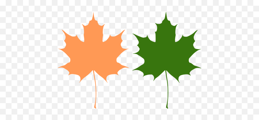 Orange And Green Maple Leaves Vector Drawing - Maple Leaf Vectors Emoji,Plant Emoji