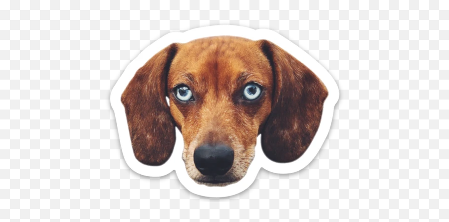 Productsu2013 Tagged Customized Dog Face Stickersu2013 Lickco - Dachshund Emoji,Dog Face Emoji