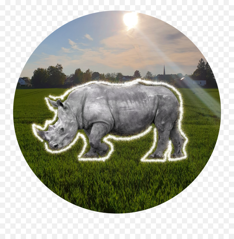 Rhino Sticker - Indian Larry Emoji,Rhino Emoji