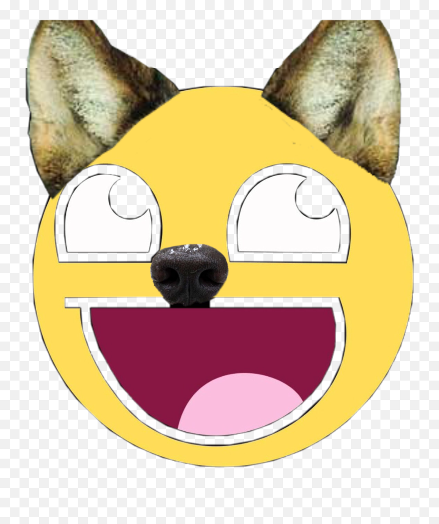 Derpy Derp Wolf Derpyface Derpface - Cartoon Emoji,Derpy Emoji