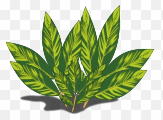 Sun Emoji,Weed Plant Emoji