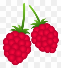 raspberry emoji iphone