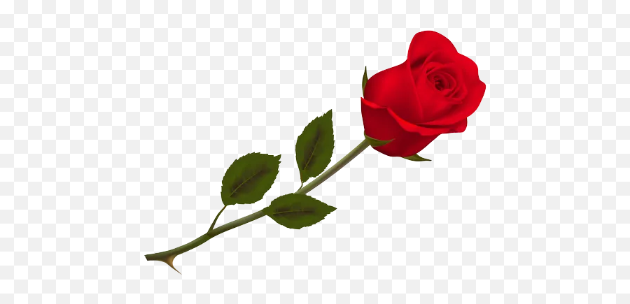 Top Whatsapp Stickers - Flower Red Rose Png Emoji,Red Rose Emoji