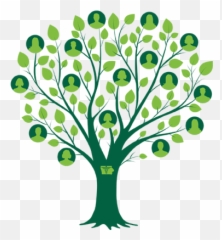 Transparent Family History Clipart - Tree Png Emoji