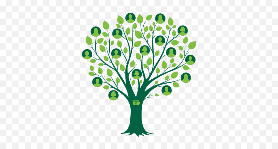 Transparent Family History Clipart - Transparent Family Tree Png Emoji,Family Emoji Transparent