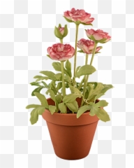 Gratis Bilder Av Fake Og White - Flower In A Pot Png Emoji,Potato Emoji
