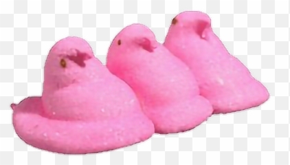 peep peeps chick chicks candy marshmallow marshmello - Marshmallow Peep Transparent Png Emoji