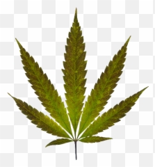 Marijuana Leaf - Pot Emoji