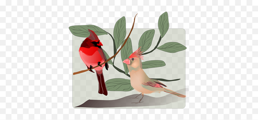 Free Singing Sing Illustrations - Message Of Support For Friend Emoji,Cardinal Bird Emoji
