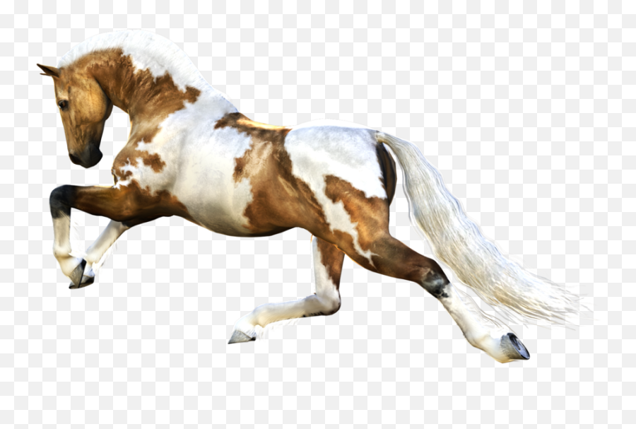 Download Free Horse Png 3 Icon Favicon - Horse Running Images Png Emoji,Horse And Airplane Emoji