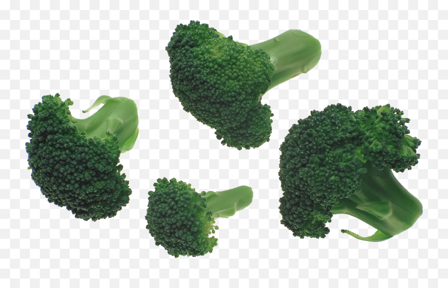 Download Broccoli Png Image Hq Png - Brocoli Png Emoji,Broccoli Emoji Iphone