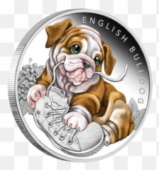 Bulldog Face Png Picture - Puppies English Bulldog Coin Emoji,Bulldog Emoji