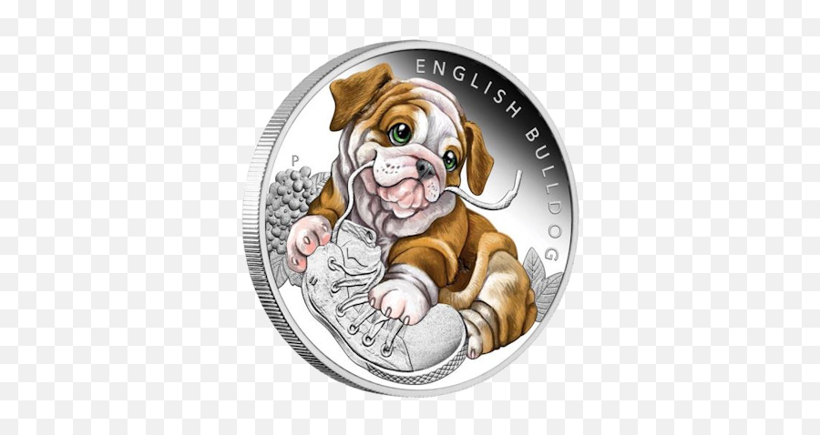 Bulldog Face Png Picture - Puppies English Bulldog Coin Emoji,Bulldog Emoji