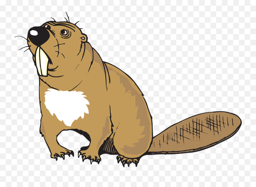 Verwirrt Vektorgrafiken - Beaver Cliparts Emoji,Potato Emoji