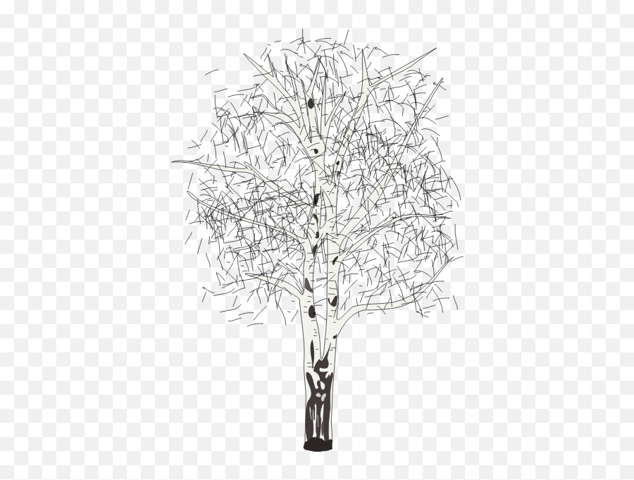 Leafless Birch - Birch Clipart Black And White Emoji,Easter Island Heads Emoji