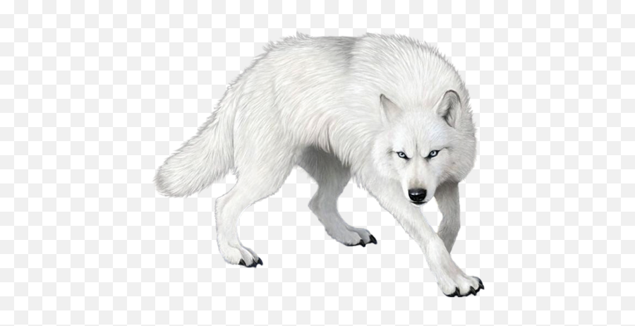 Wolf Png Clipart 22 Vector Eps - Transparent Background Wolf Png Emoji,Wolf Emoji Png